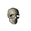 Skull.gif (28900 bytes)